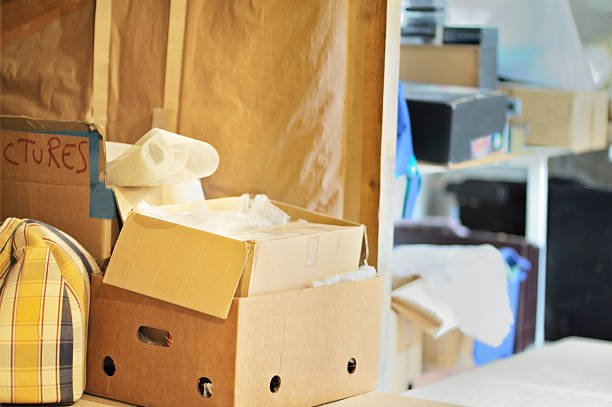 Best Carpet Removal and Disposal  in Grand Marais, MN